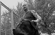 Archief 2001 - Special: Kinepolis Shorts