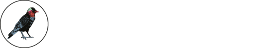 Uppsala Short Film Festival