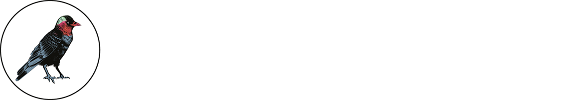 Uppsala Short Film Festival